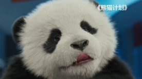 青草视频污